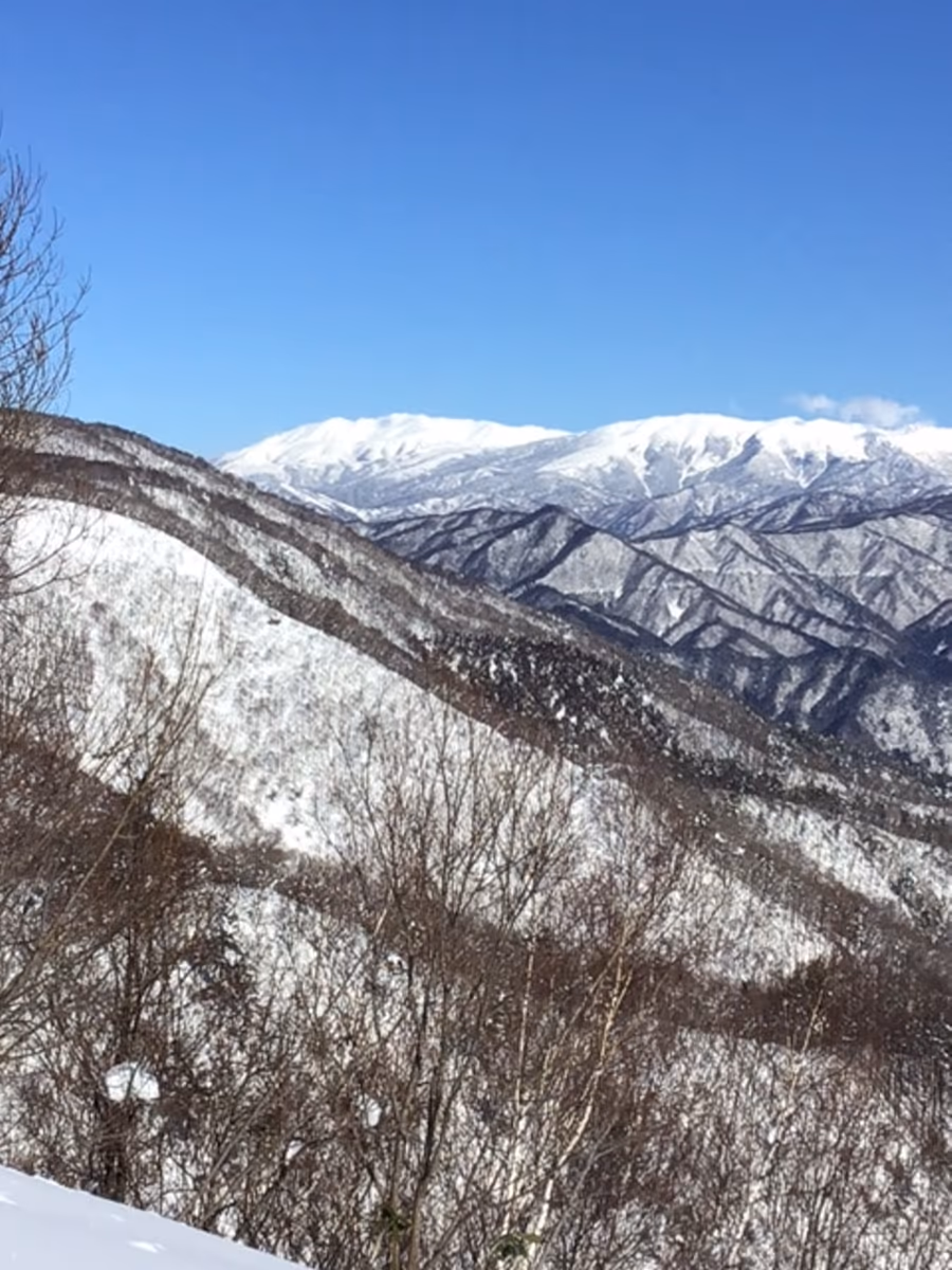 投稿写真：北アルプス