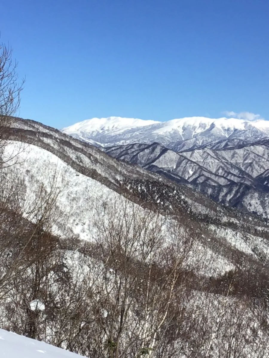 投稿写真：北アルプス