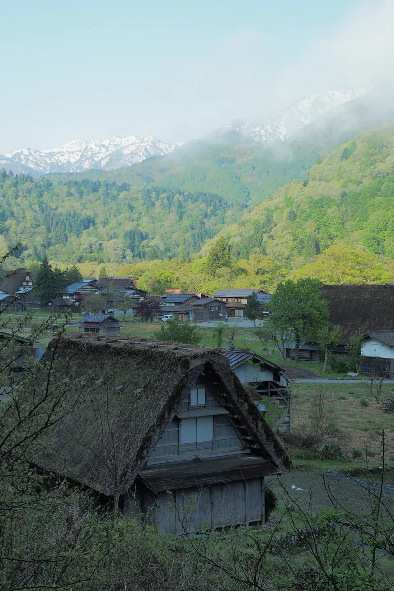 投稿写真：春の集落