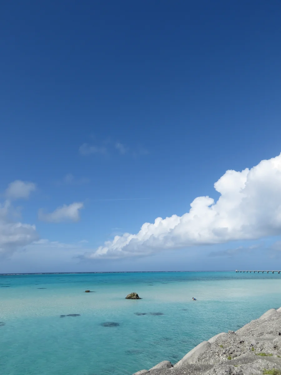 投稿写真：下地島空港脇