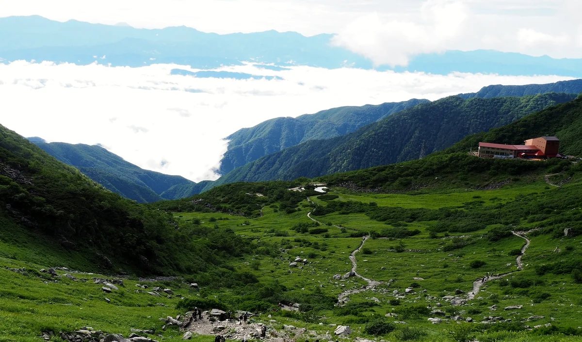 投稿写真：千畳敷カールの花畑