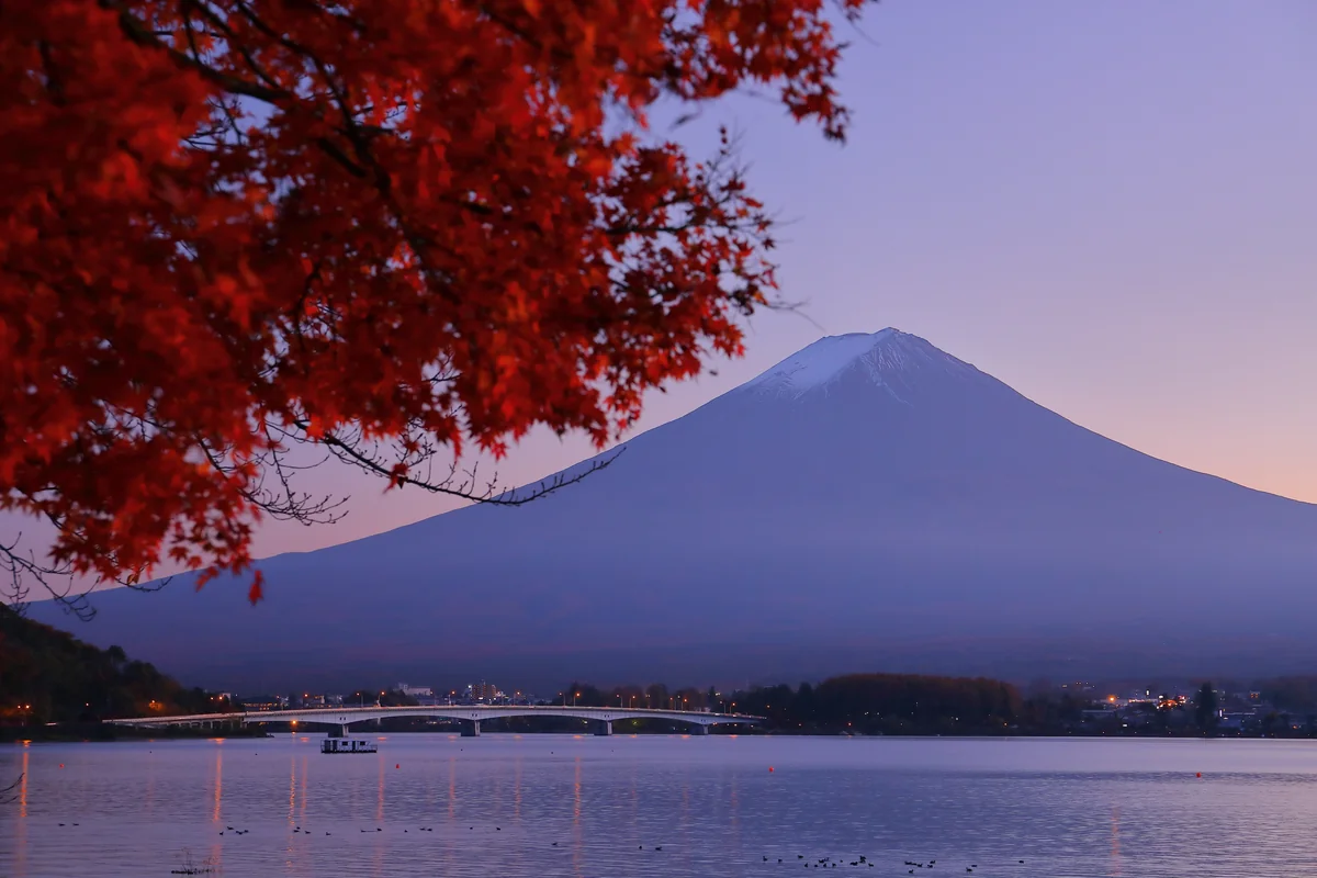 投稿写真：紅葉越しの富士山と河口湖