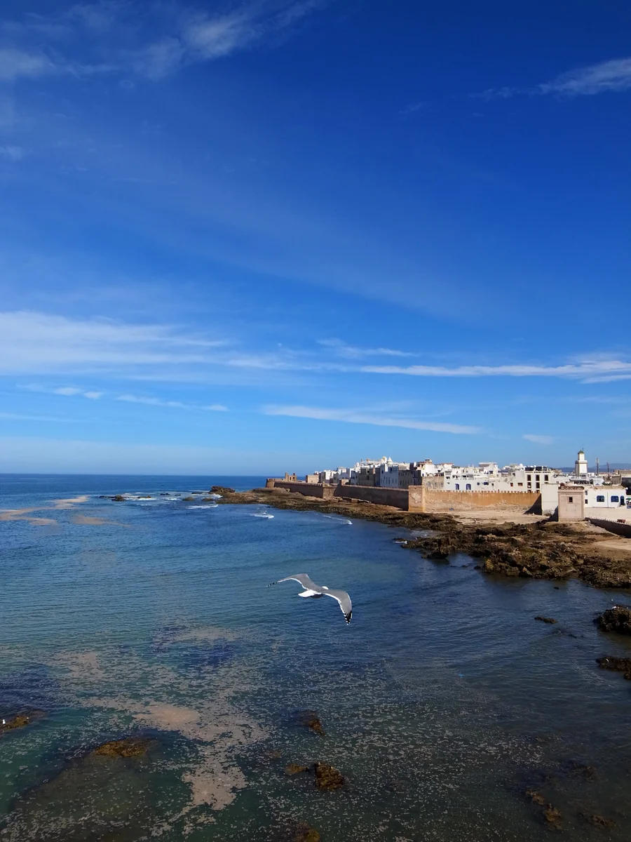 投稿写真：モロッコのヨーロッパ エッサウィラ