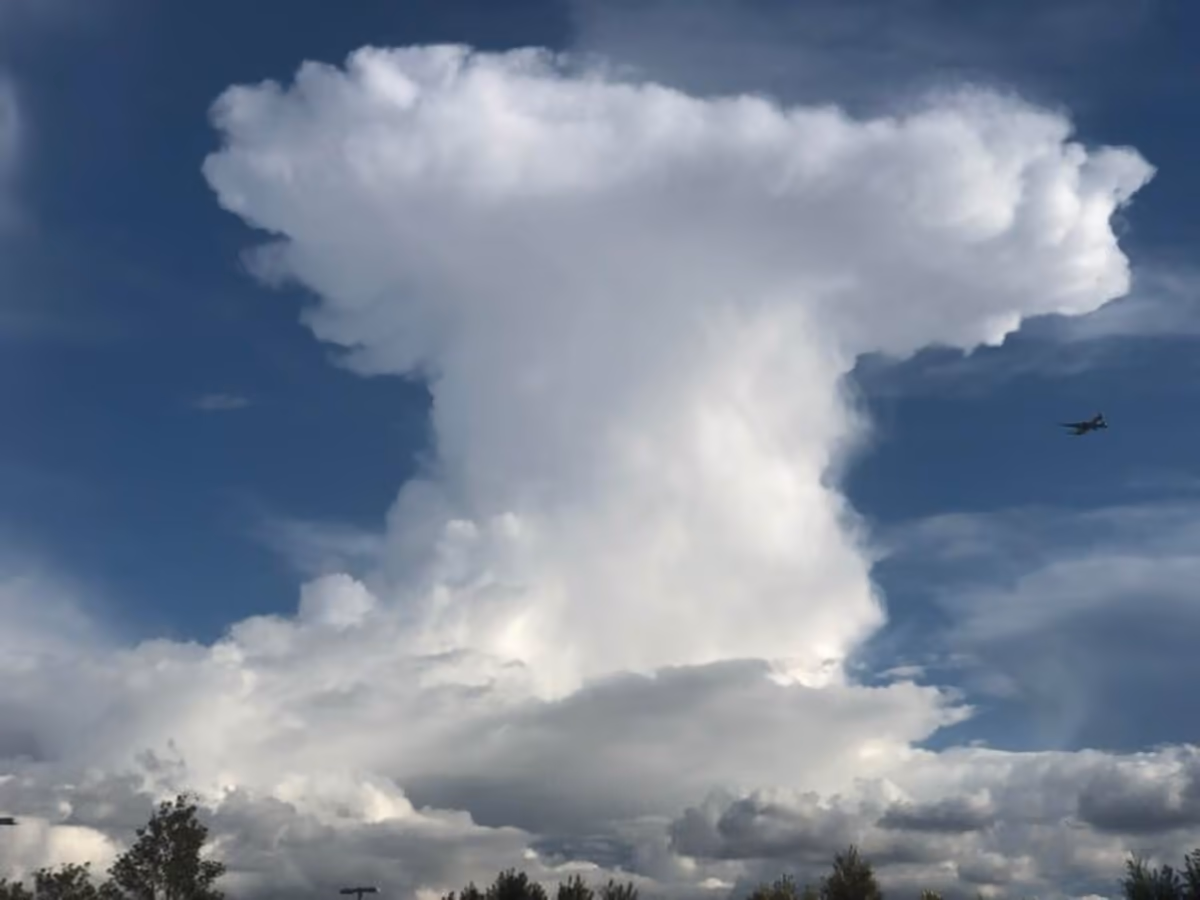 投稿写真：雲