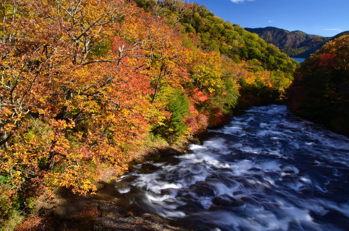 投稿写真：秋に急流