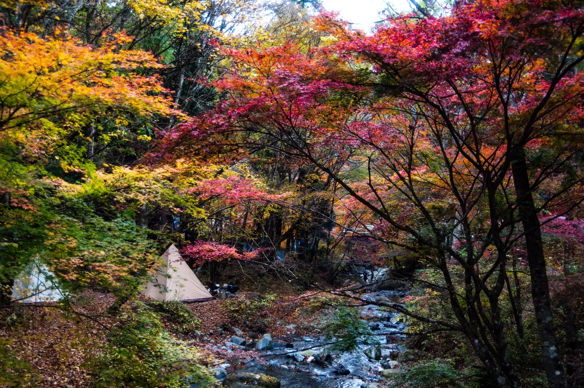 投稿写真：道志村の紅葉