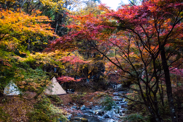 投稿：道志村の紅葉