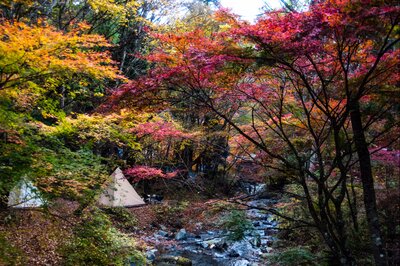  | 絶景事典