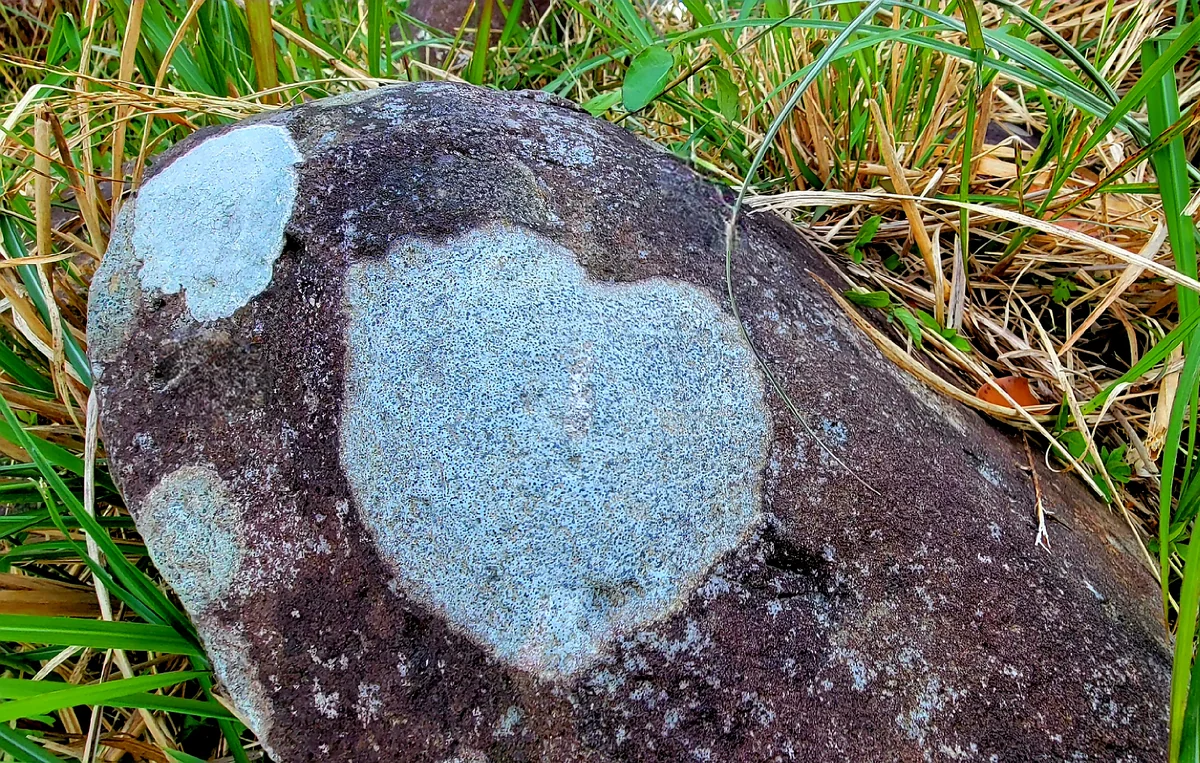 投稿写真：ハートロック❤️