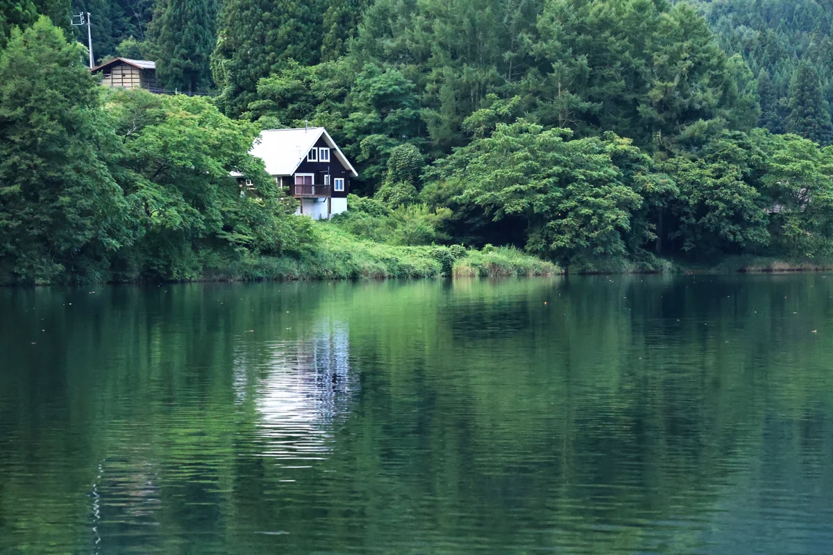 投稿写真：緑の湖畔