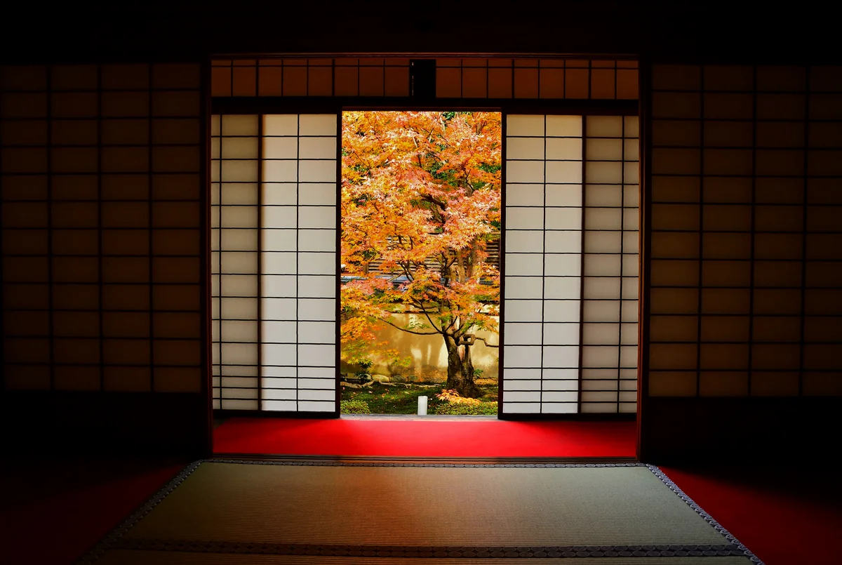 投稿写真：雲龍院