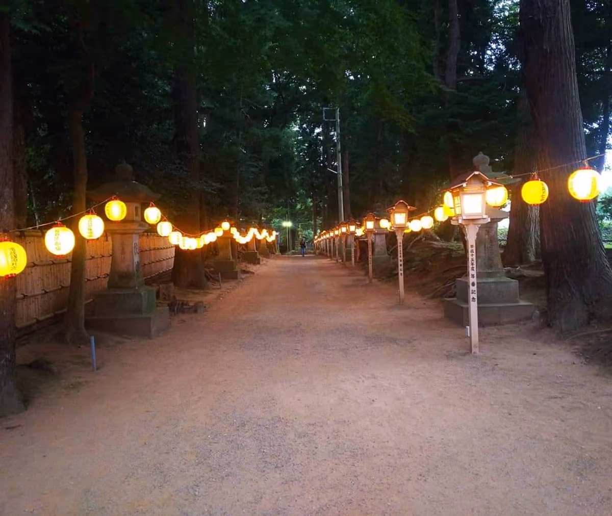 投稿写真：常陸総社宮の参道