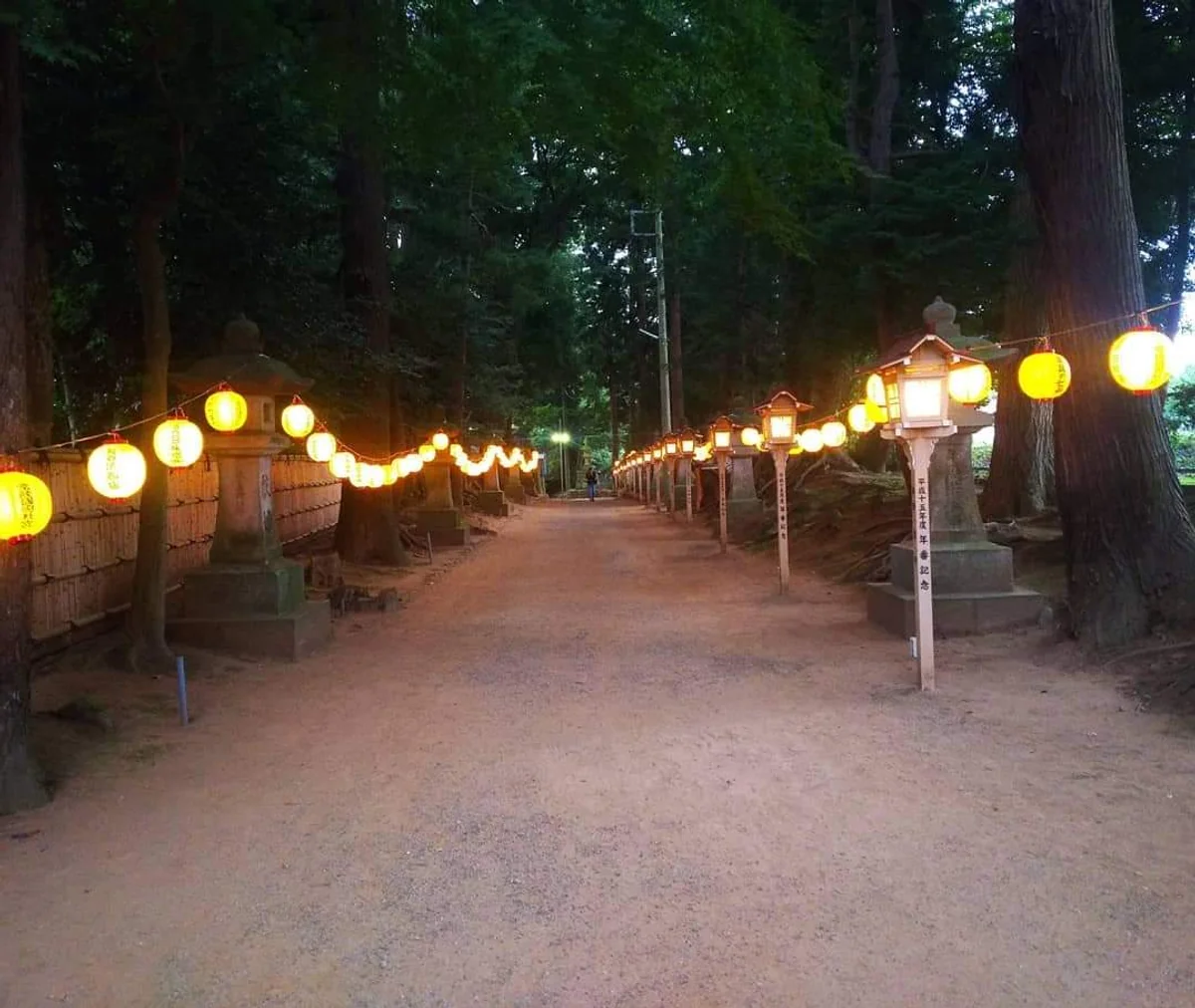 投稿写真：常陸総社宮の参道