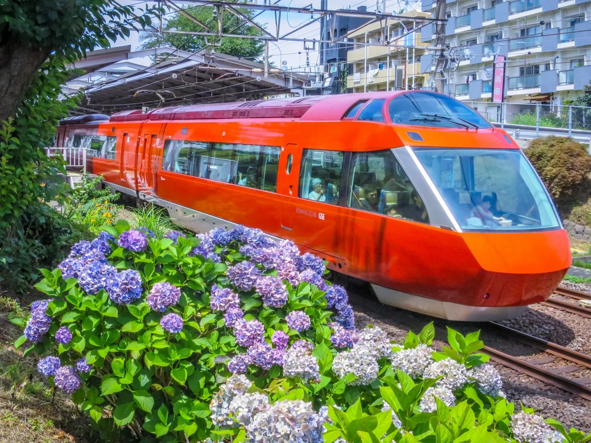 投稿写真：小田急ロマンスカーとあじさい