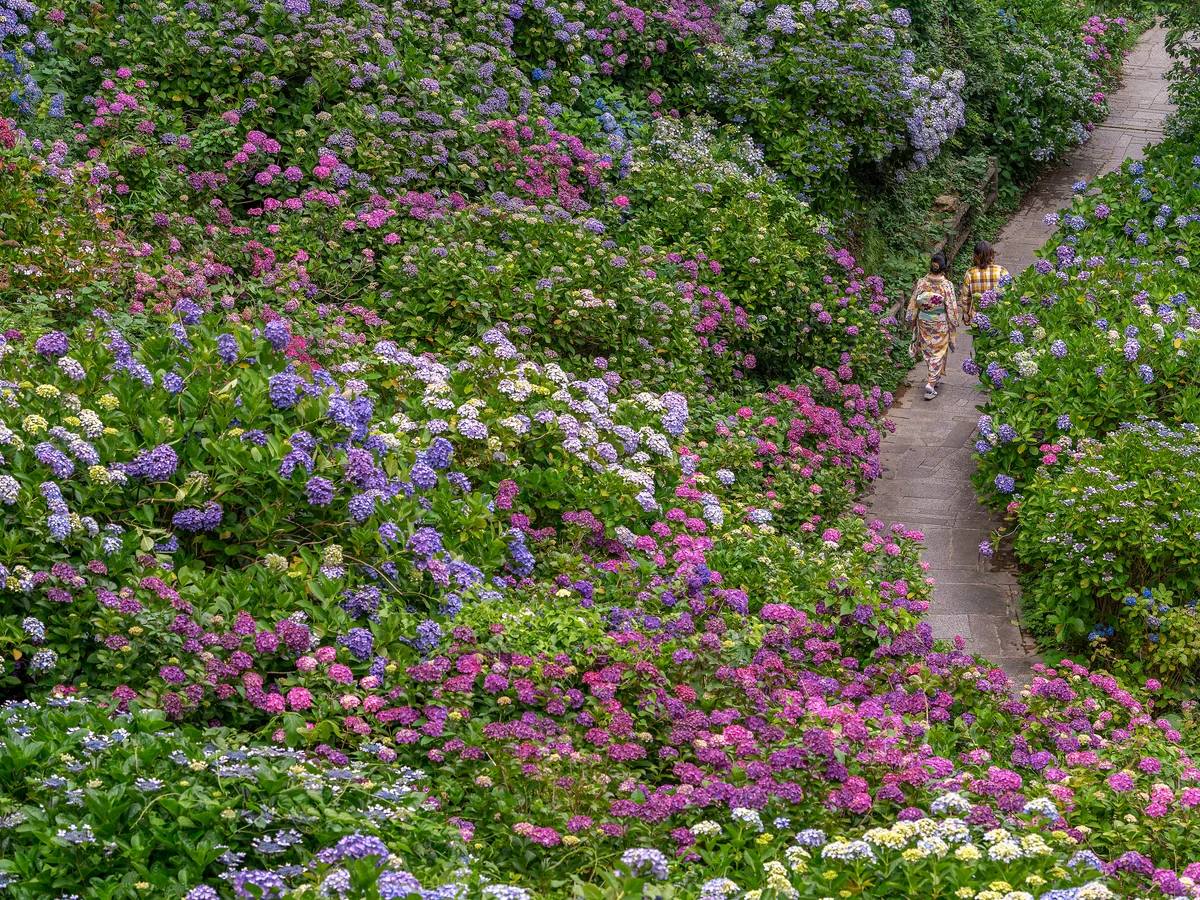 投稿写真：一糸乱れる