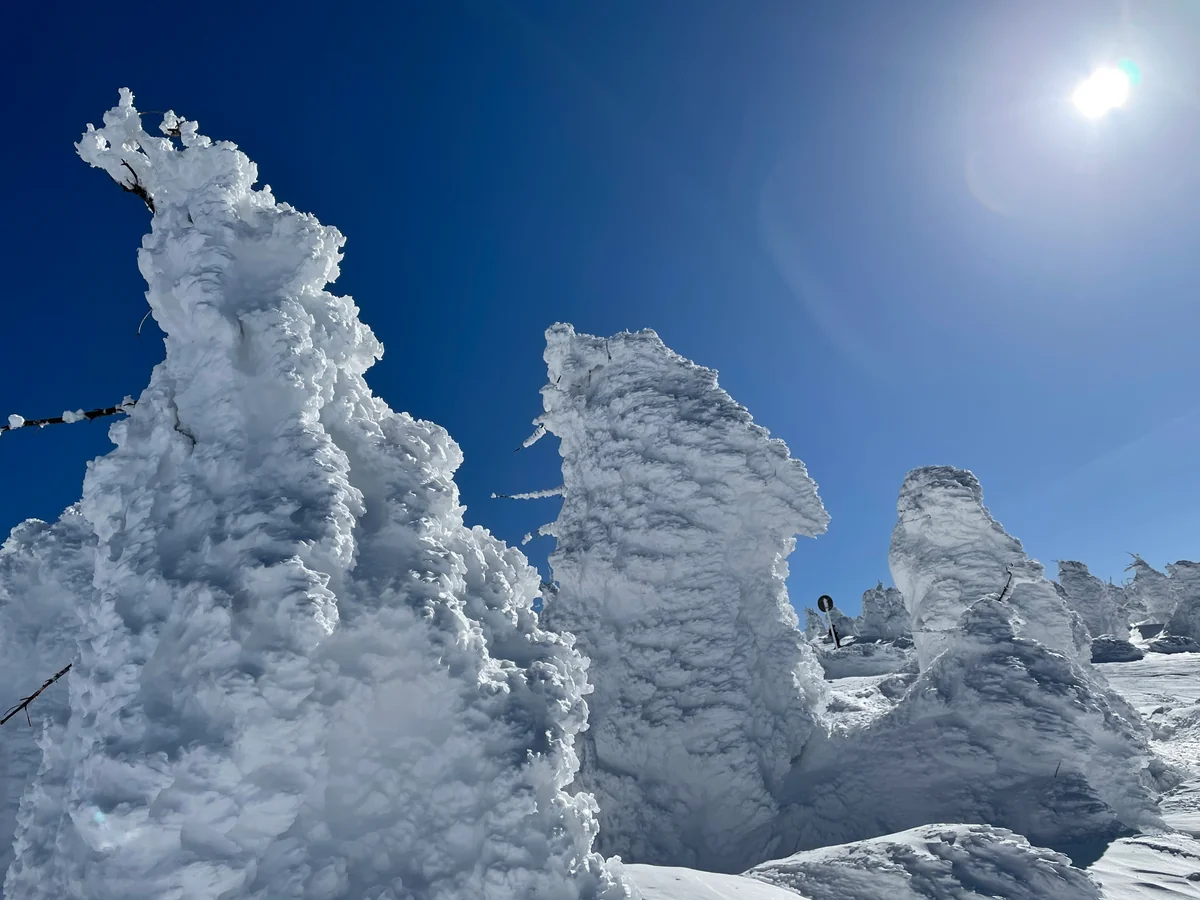 投稿写真：蔵王の樹氷