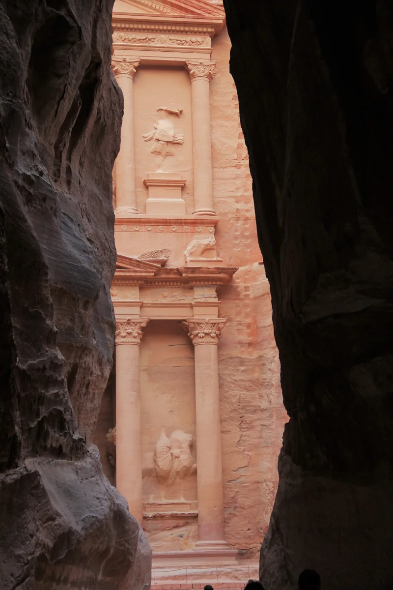 投稿写真：見えた！