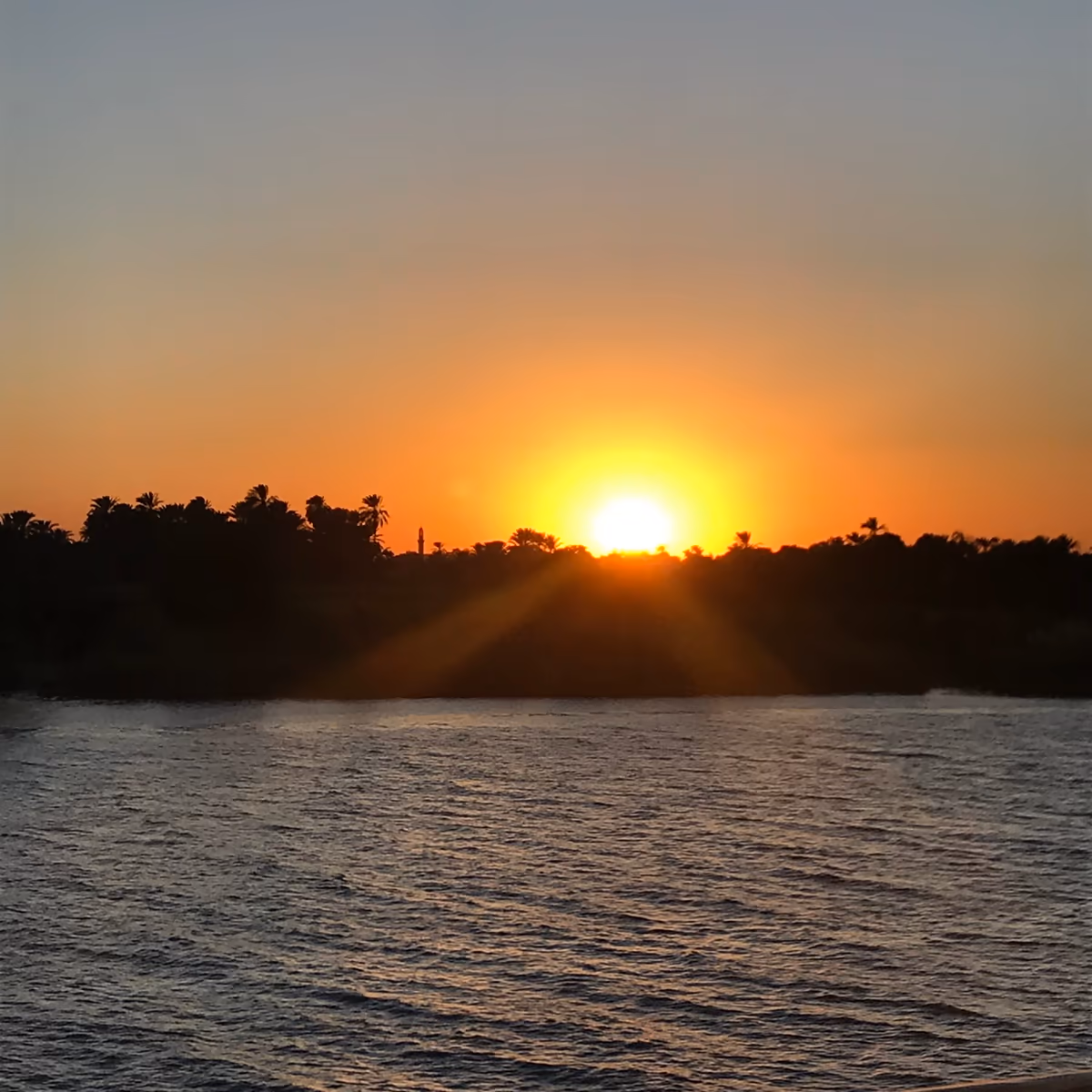 投稿写真：ナイル川から夕陽を眺める