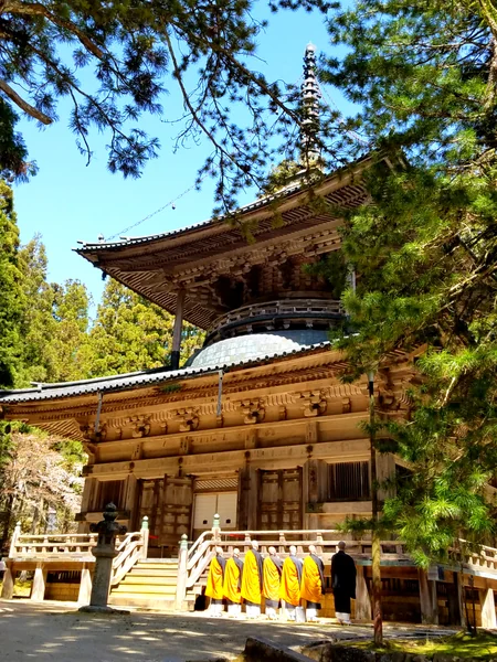 投稿：高野山　修行僧の黄色の袈裟