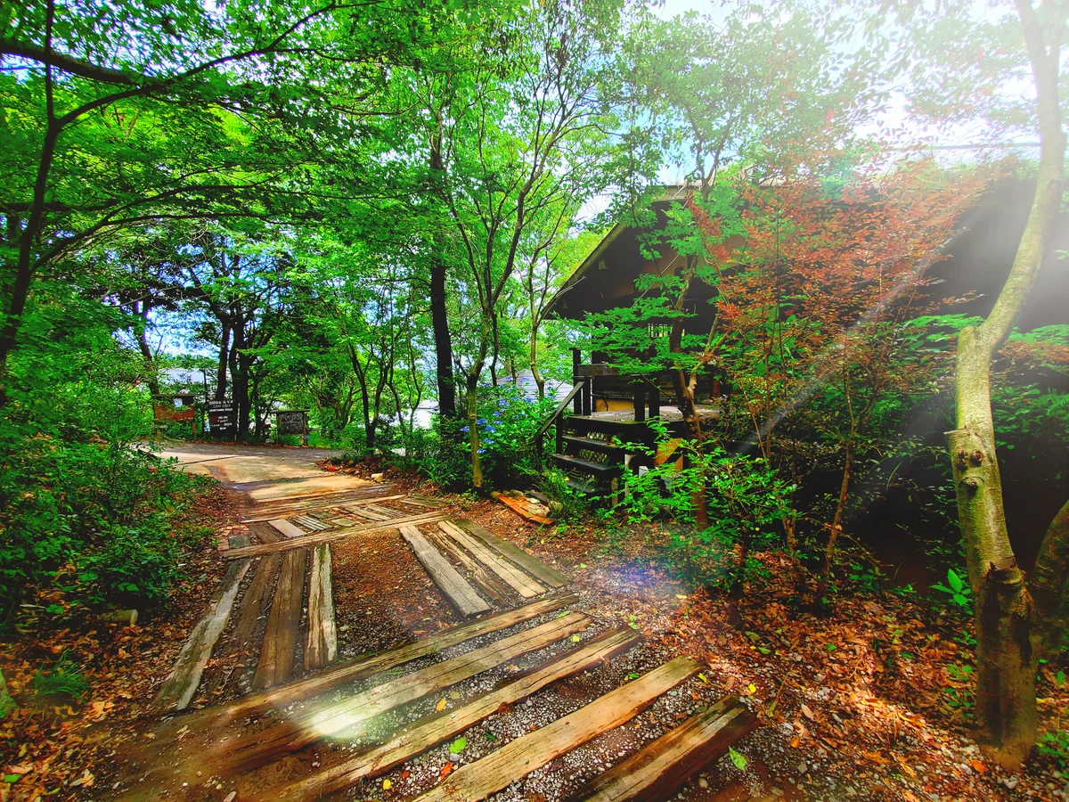 投稿写真：風の森