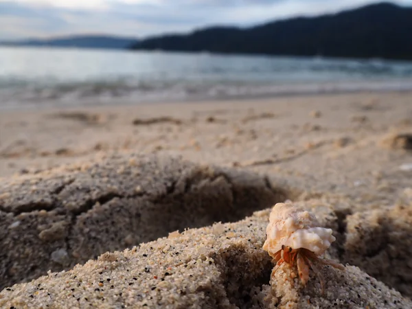 投稿：ヤドカリ