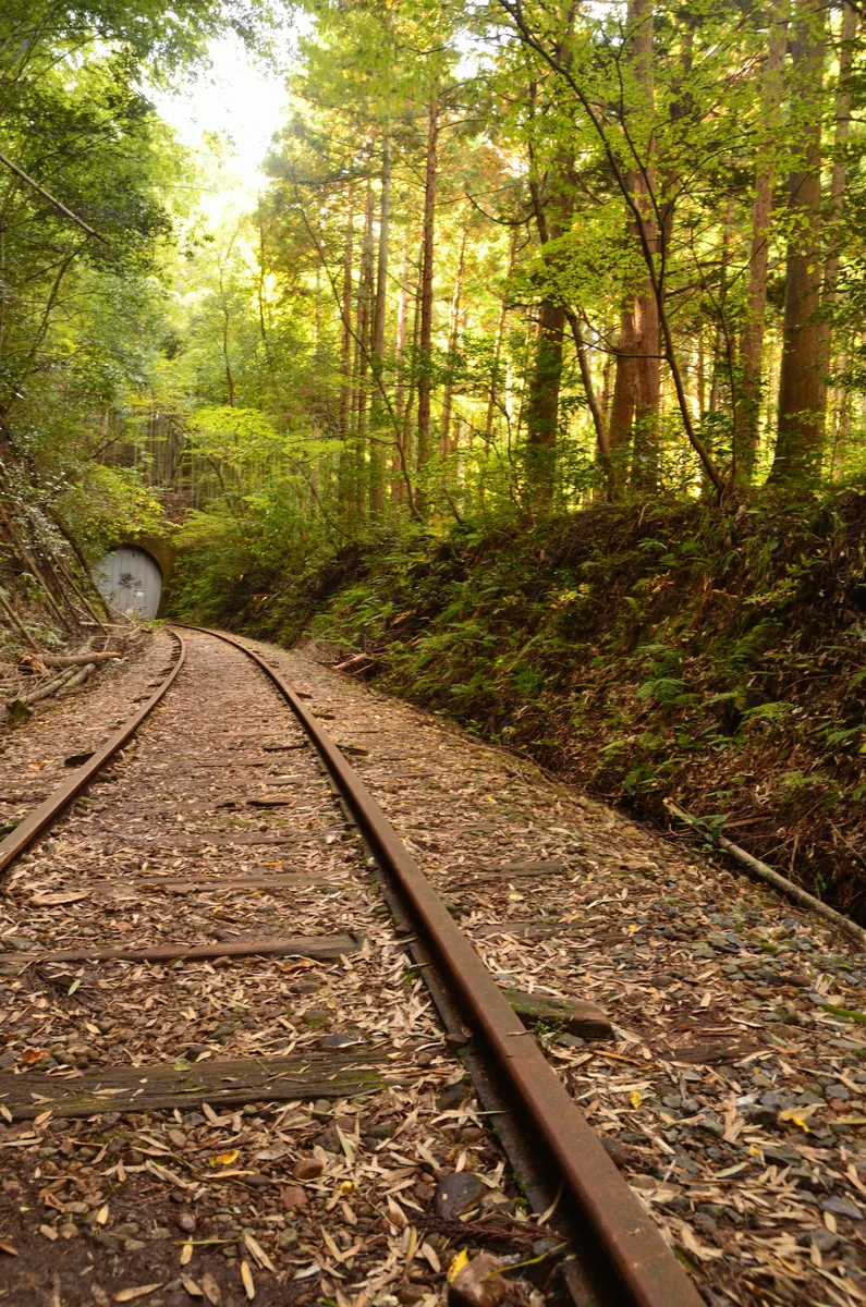 投稿写真：旧国鉄倉吉線廃トンネル