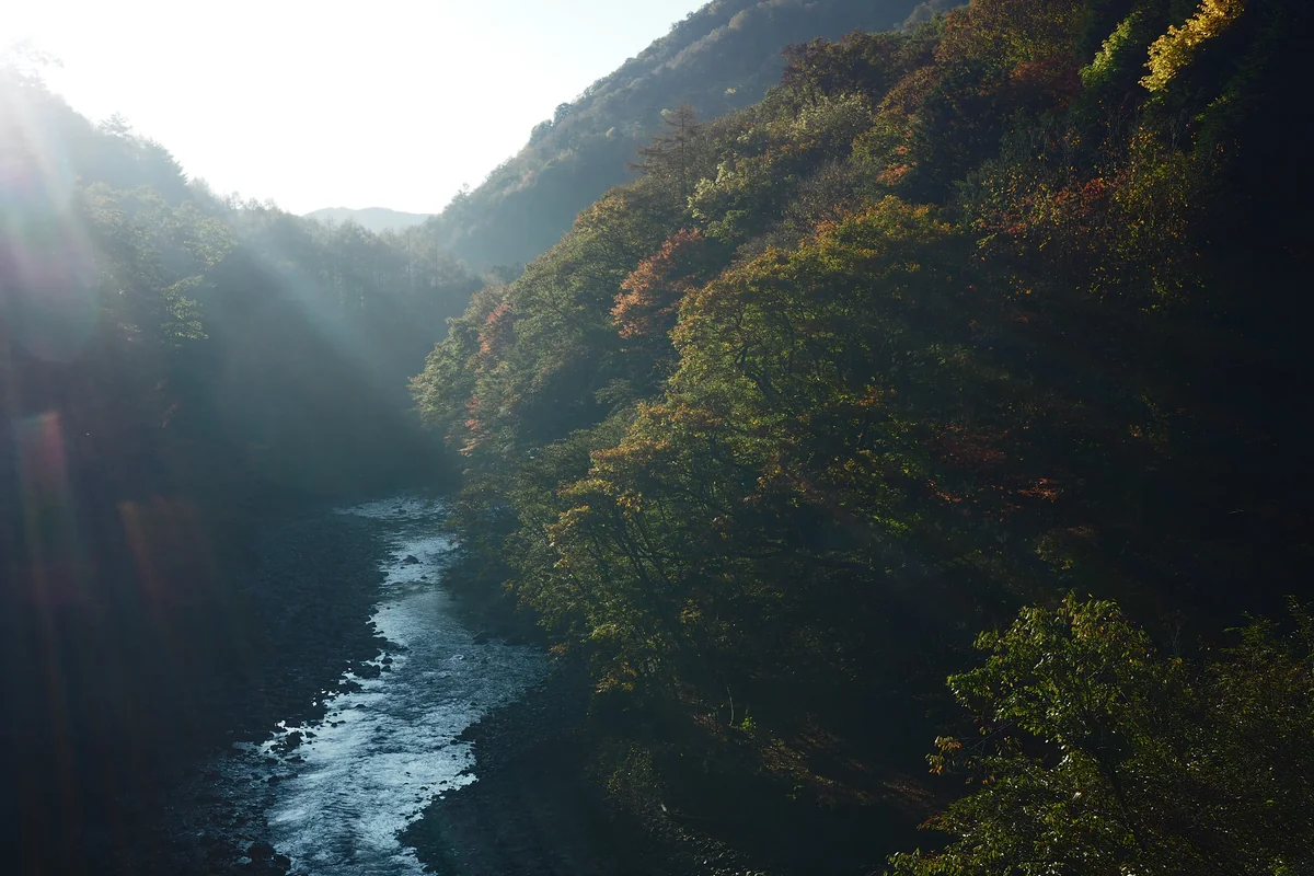 投稿写真：笛吹川　秋の渓谷