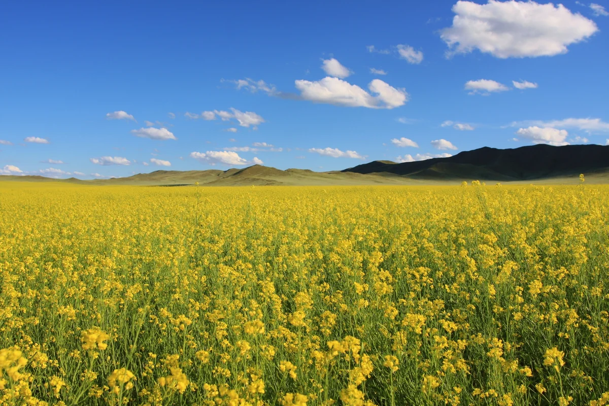 瀬戸山 萌水さんの投稿写真