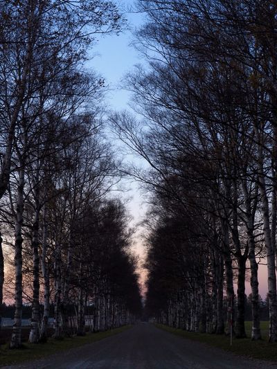  | 絶景事典
