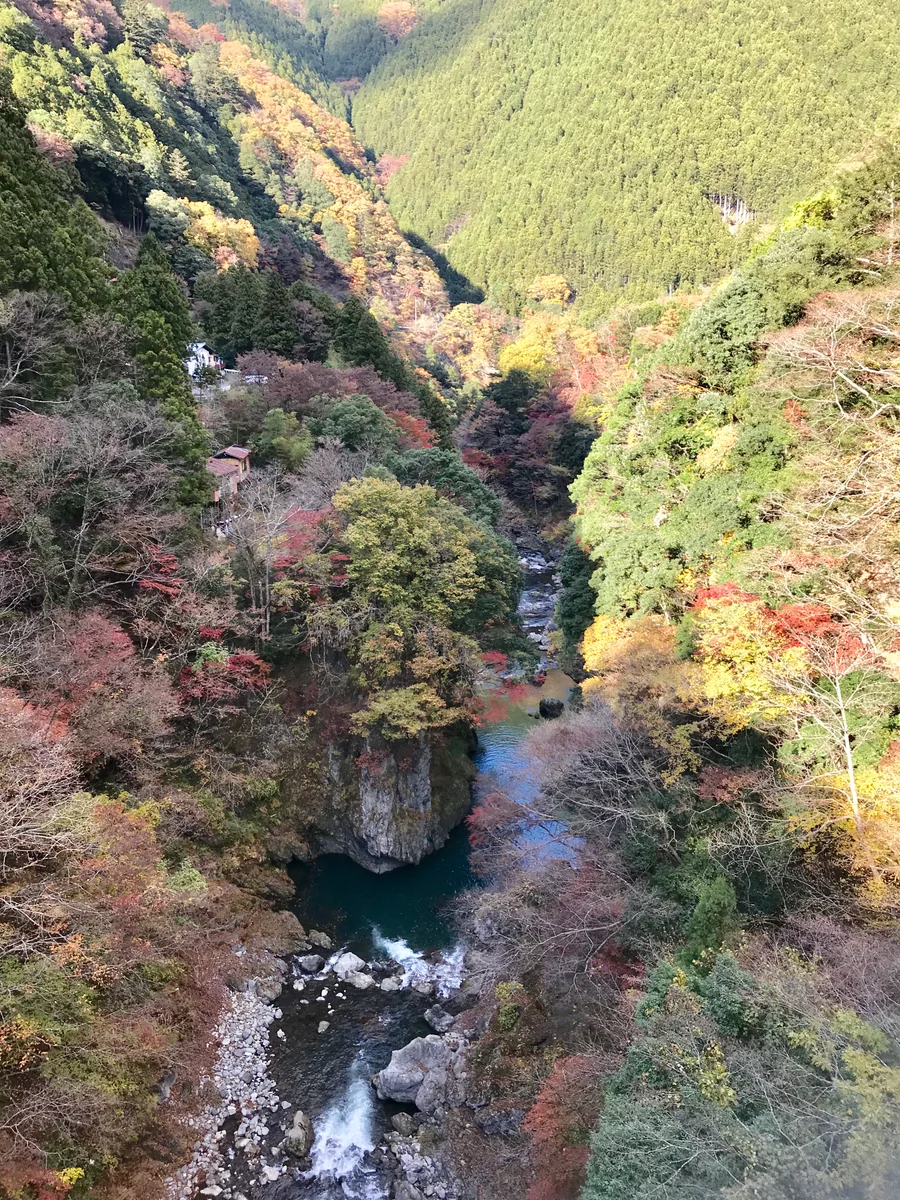 投稿写真：鏡橋からの渓谷風景