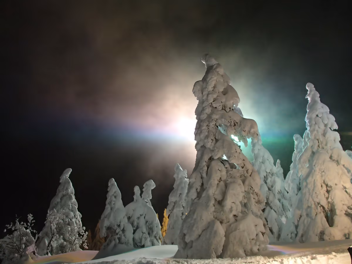 投稿写真：夜のスノーモンスター