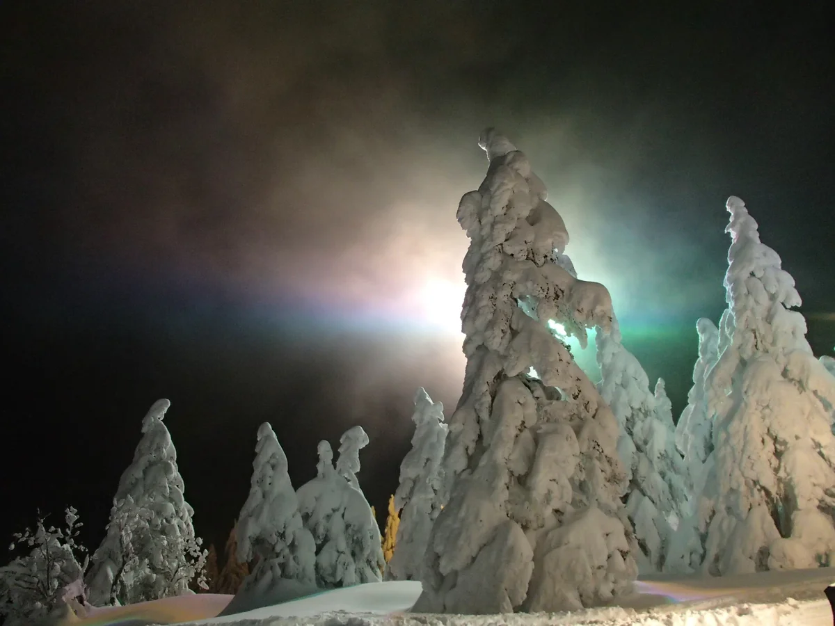 投稿写真：夜のスノーモンスター