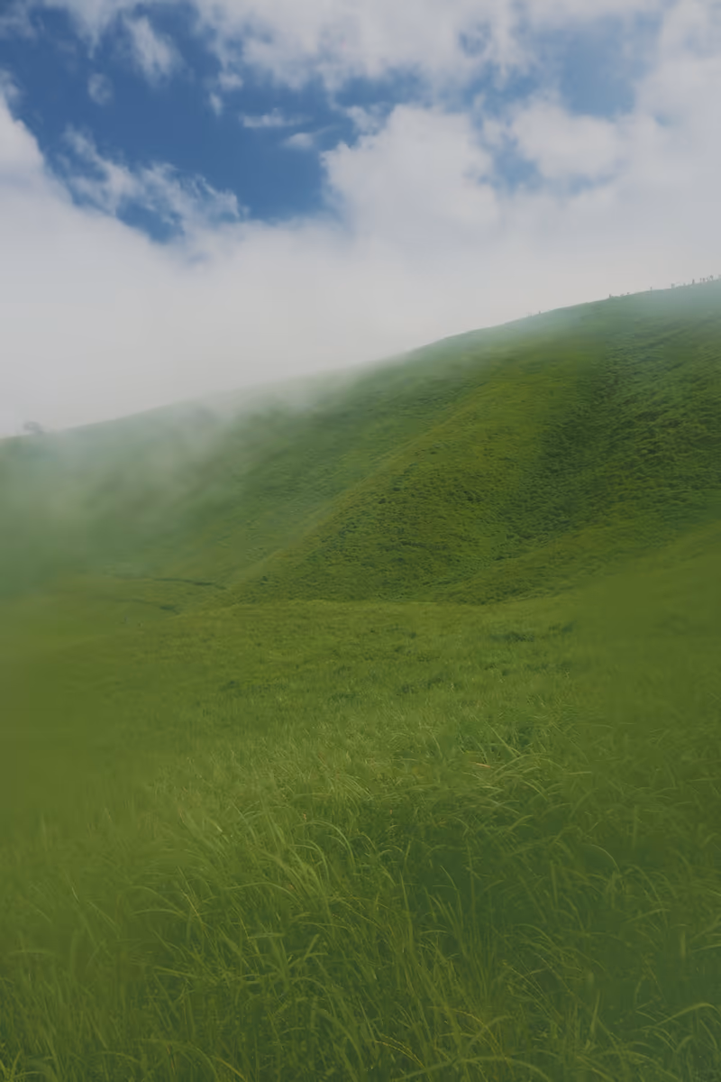 投稿写真：伊豆大室山　青草彩々