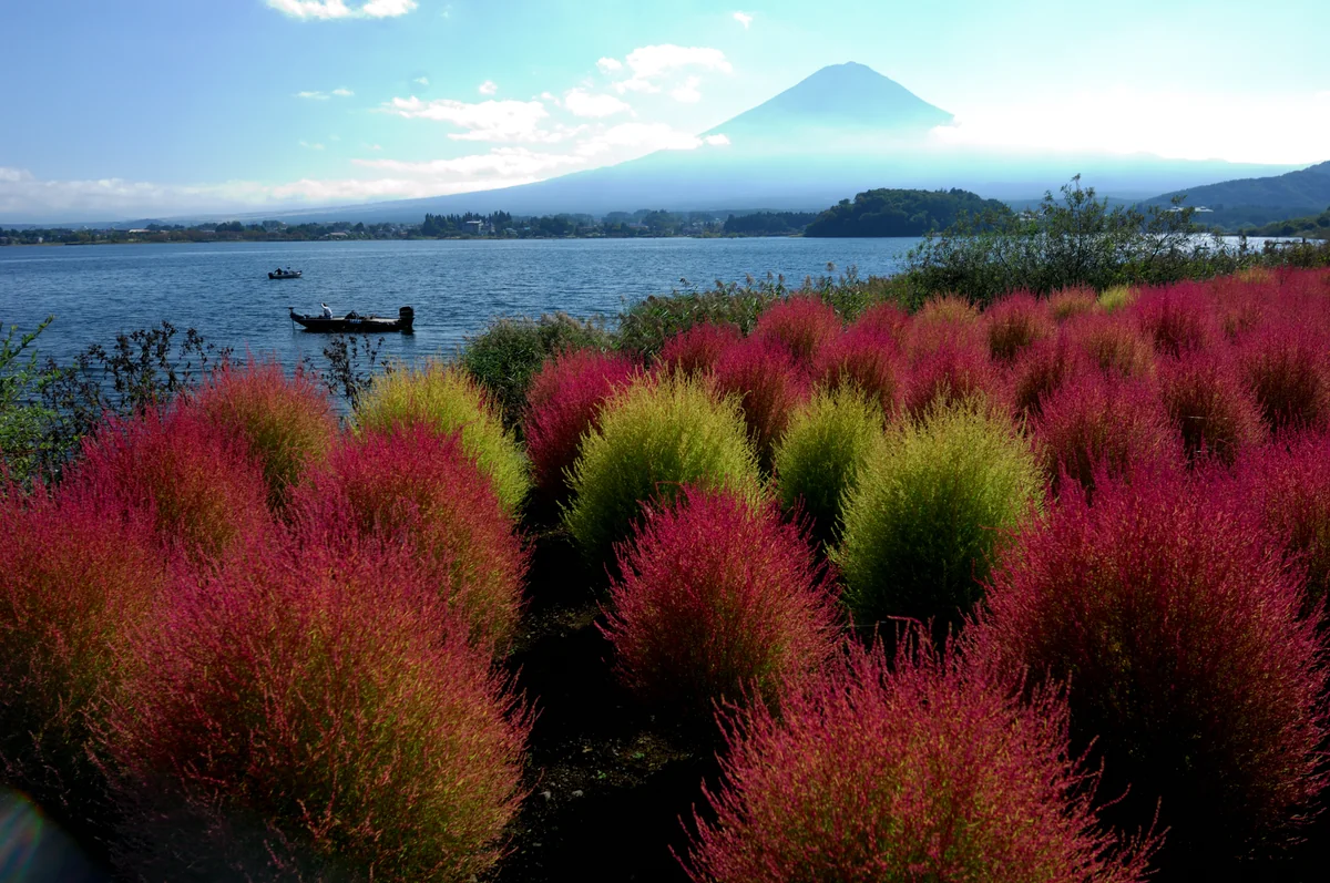 投稿写真：色着く富士