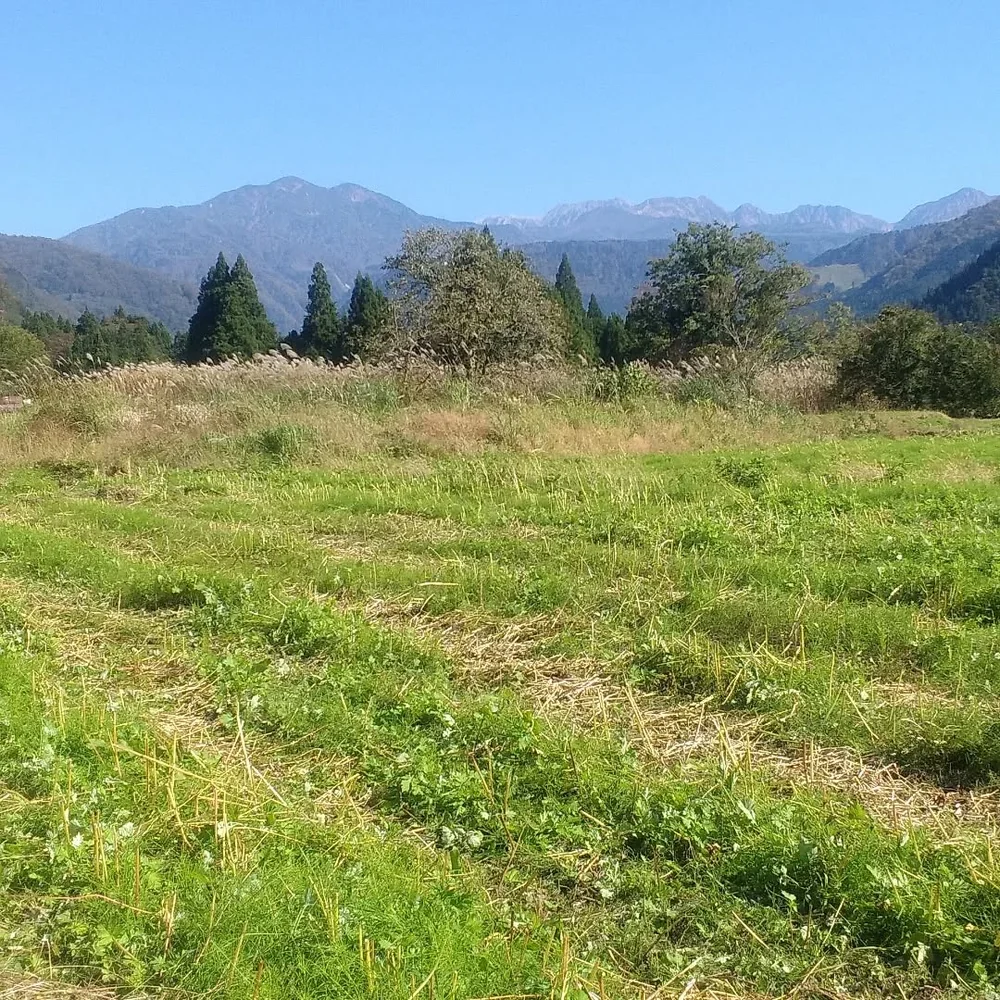 投稿写真：秋の立山連峰