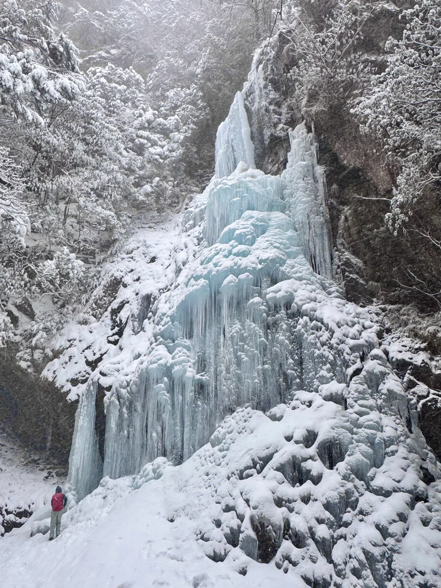 投稿写真：冬の絶景❄️氷瀑 御船の滝