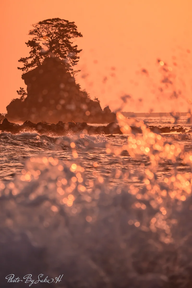 投稿写真：波と戯れる