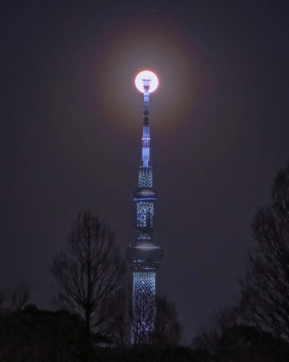 投稿写真：花粉光環付きパールスカイツリー