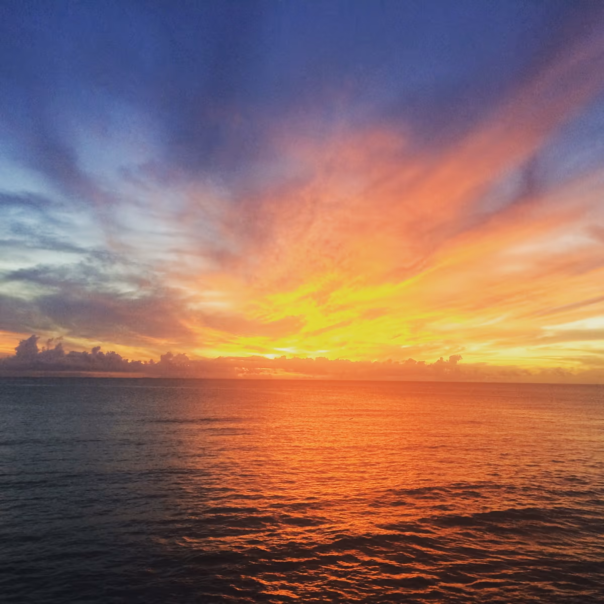 投稿写真：夕暮れ