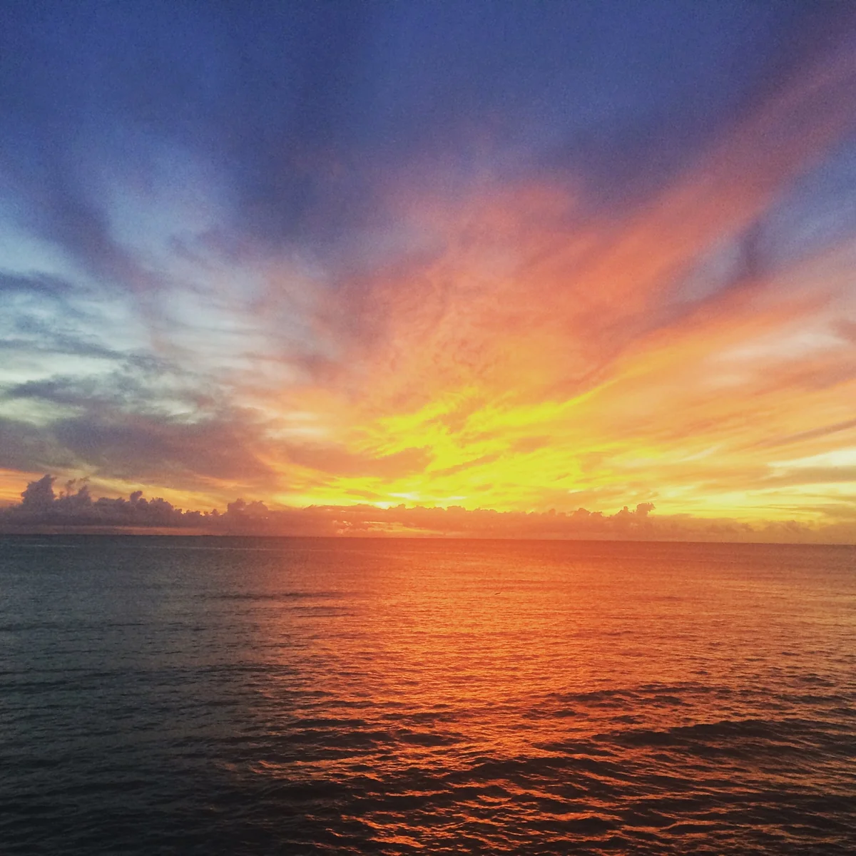 投稿写真：夕暮れ