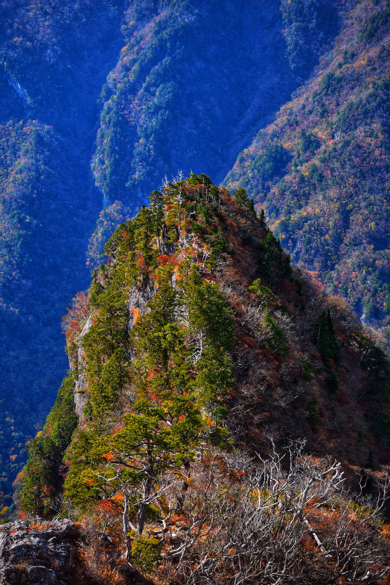 投稿写真：紅葉の大蛇嵓からの絶景
