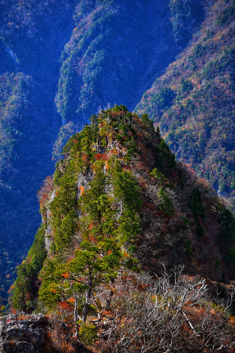 投稿写真：紅葉の大蛇嵓からの絶景