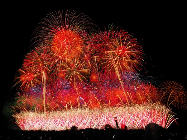 投稿：酒田花火ショー２０１９