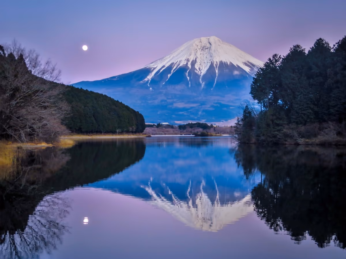 投稿写真：ビーナスベルトを背景に富士山と月のリフレクション