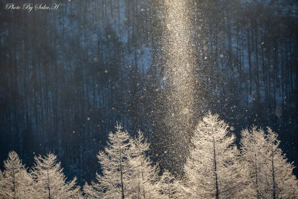 投稿：ダイヤモンドダスト