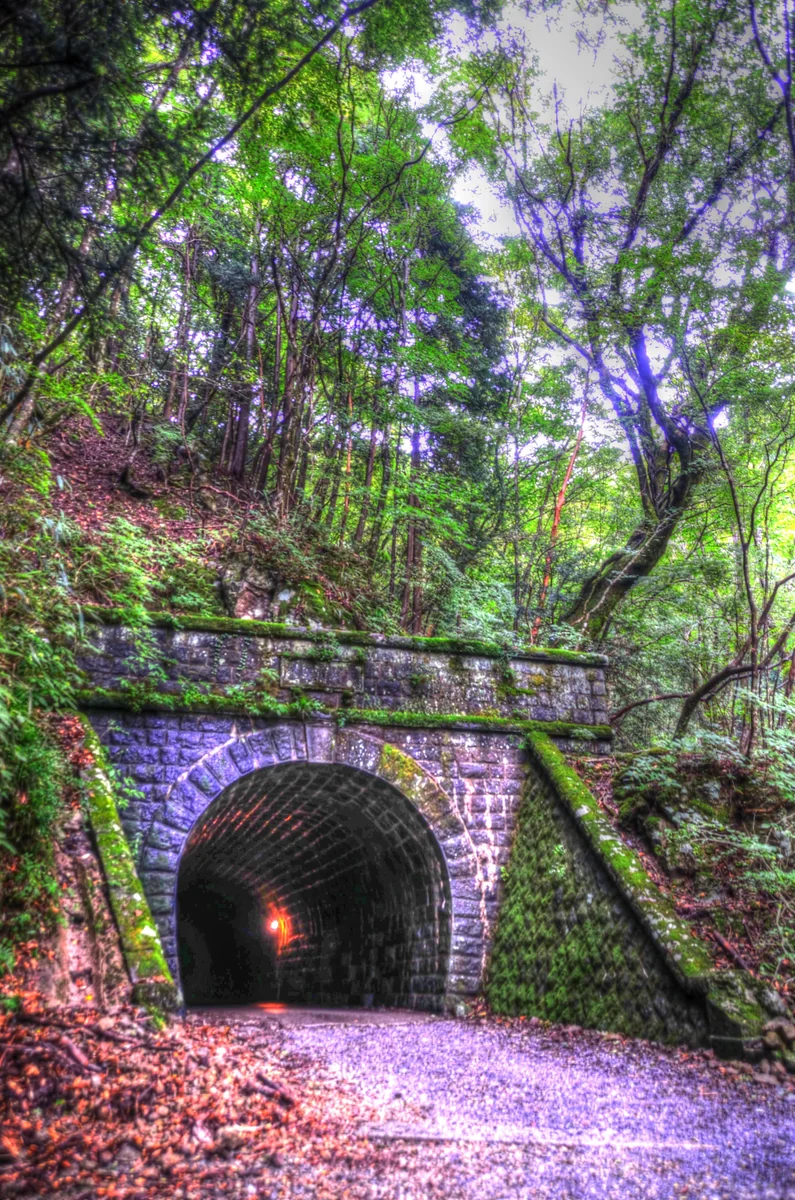投稿写真：旧天城トンネル