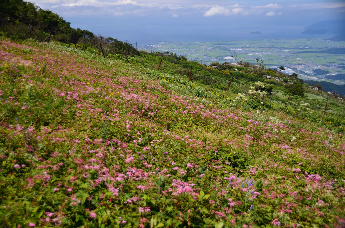 投稿写真：天空の花園