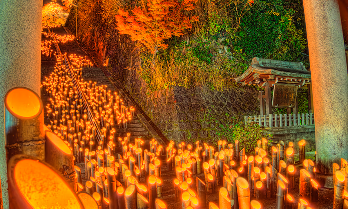 投稿写真：竹田の竹楽