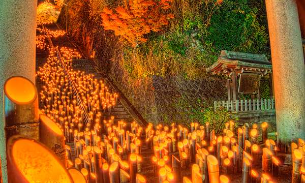 投稿：竹田の竹楽