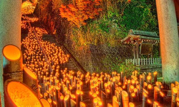 投稿：竹田の竹楽